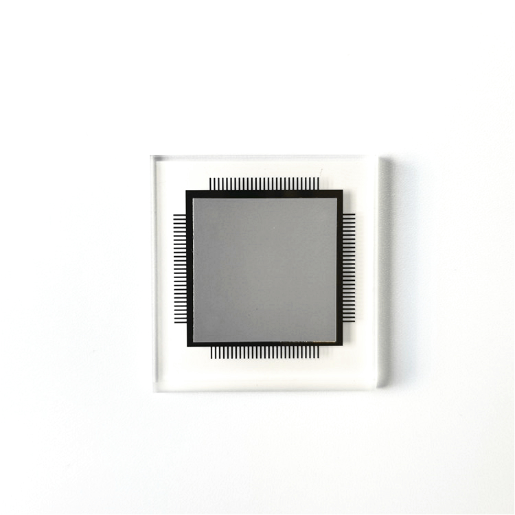 Novo chip de vidro FUJI ADNAJ831 XP242E original para pick and place SMT