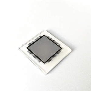 Novo chip de vidro FUJI ADNAJ831 XP242E original para pick and place SMT
