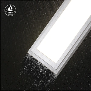 IP65 Edge-lit Panel  Light