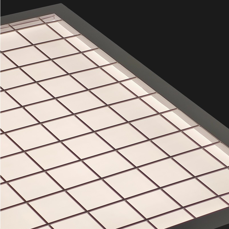 IP65 IK06 Grid Guard Panel Light