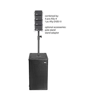 Dual 10'' Subwoofer 1.1