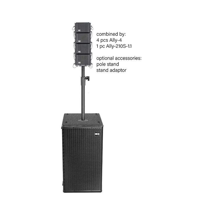 Dual 10'' Subwoofer 1.1