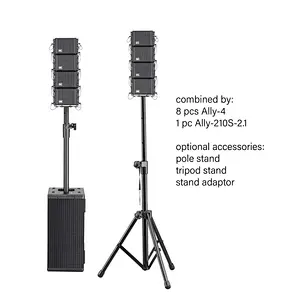Dual 10'' Subwoofer 2.1