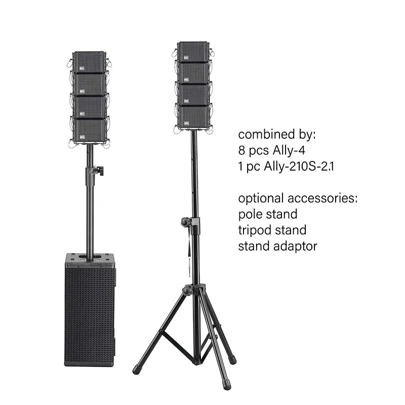 Dual 10'' Subwoofer 2.1