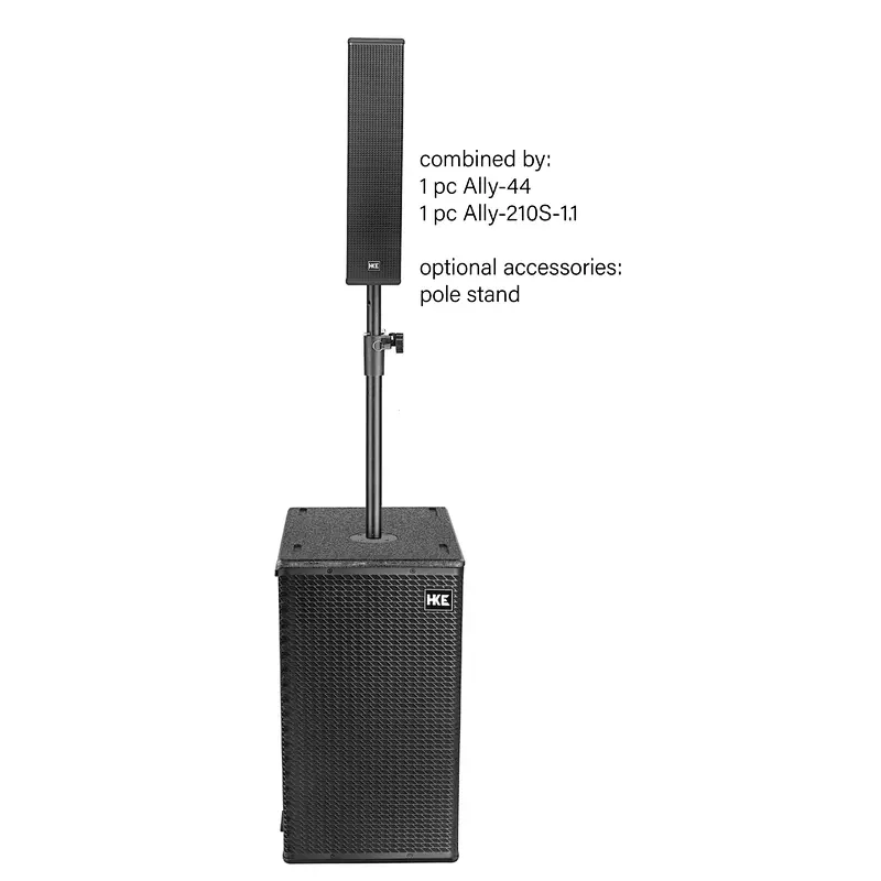 Dual 10'' Subwoofer 1.1