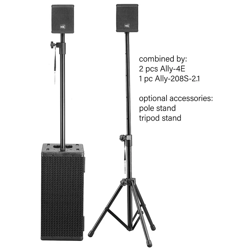 Dual 8'' Subwoofer 2.1