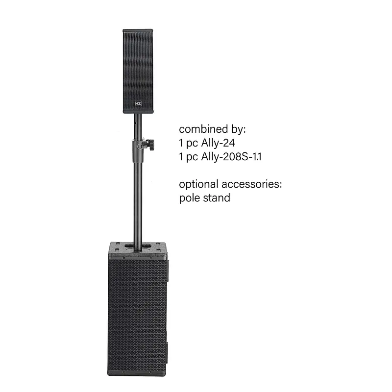 Dual 8'' Subwoofer 1.1