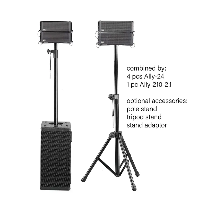 Dual 10'' Subwoofer 2.1