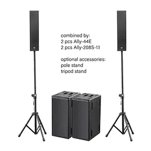 Dual 8'' Subwoofer 1.1