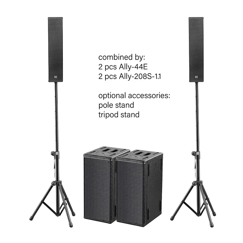 Dual 8'' Subwoofer 1.1