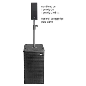 Dual 10'' Subwoofer 1.1