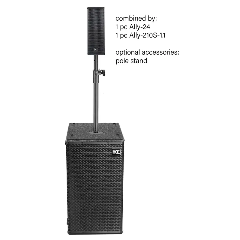 Dual 10'' Subwoofer 1.1