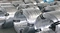 hot dip galvanized steel wire electro iron bi