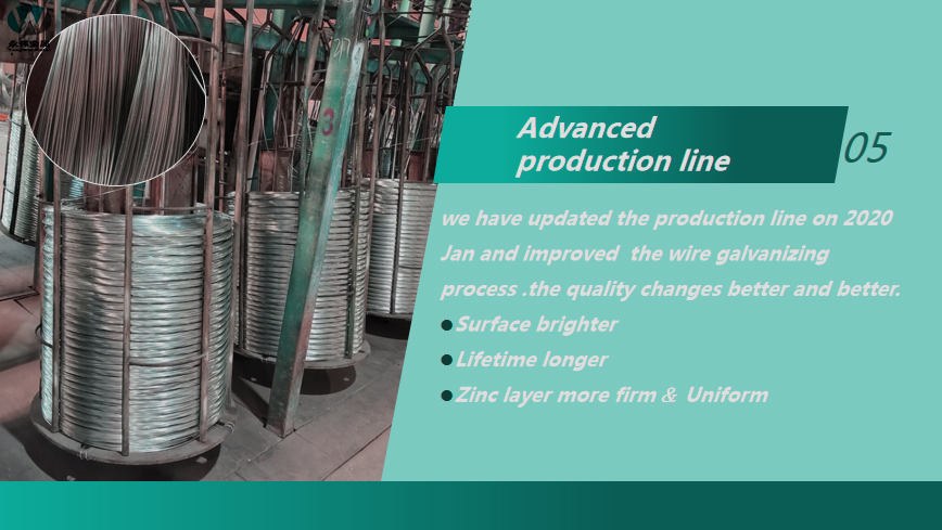 Electro galvanized steel wire price galvanized iron wire factory