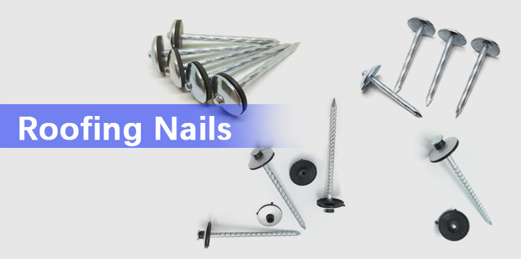 Good Price Screw Shank Smooth Galvanized Head Umbrella Roofing Nails