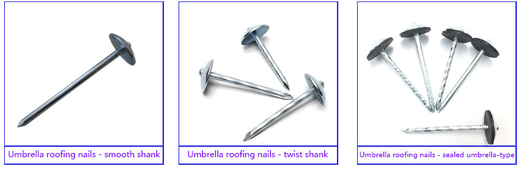 Good Price Screw Shank Smooth Galvanized Head Umbrella Roofing Nails