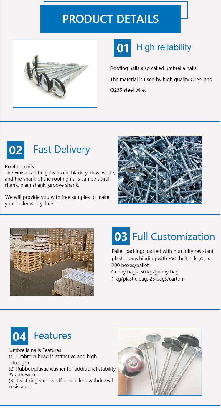 Good Price Screw Shank Smooth Galvanized Head Umbrella Roofing Nails