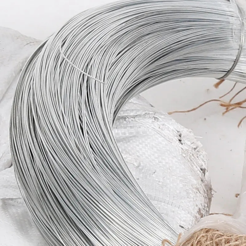 know about bwg22 soft gi binding wire for sale