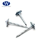 galvanized umbrella head roofing nails