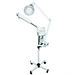 Hot spray steamer