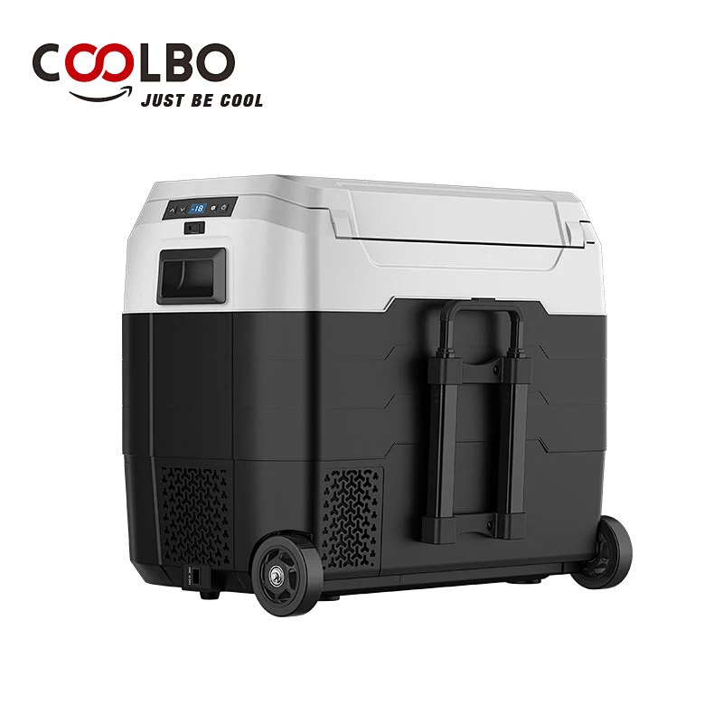 car fridge