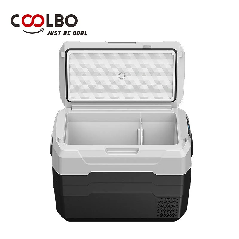 car fridge
