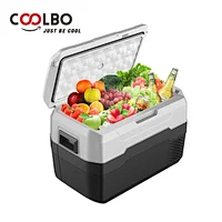 car fridge
