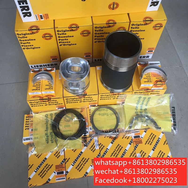 924 D924 Engine parts Fuel Injector Pump 0402074701 for Liebherr R914 R924 R934 R944 Piston cylinder liner piston ring
