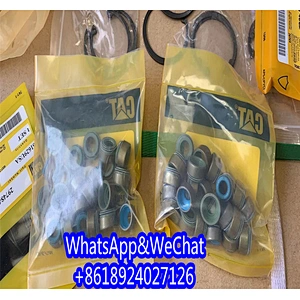 6J1578 Seal Kit 6J-1578 Gasket Kits 2933069 Parts 293-3069 Excavator 2145970 Spare 214-5970