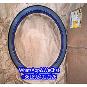 1420226 Seal Kit 142-0226 Spare 3712718 Gasket Kits 371-2718 Parts 2430381 Parts 243-0381