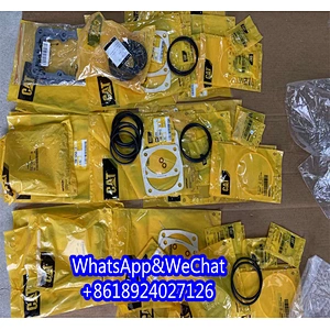 1057255 Excavator 105-7255 Spare 3050794 Seal Kit 305-0794 Gasket Kits 2197006 Parts 219-7006