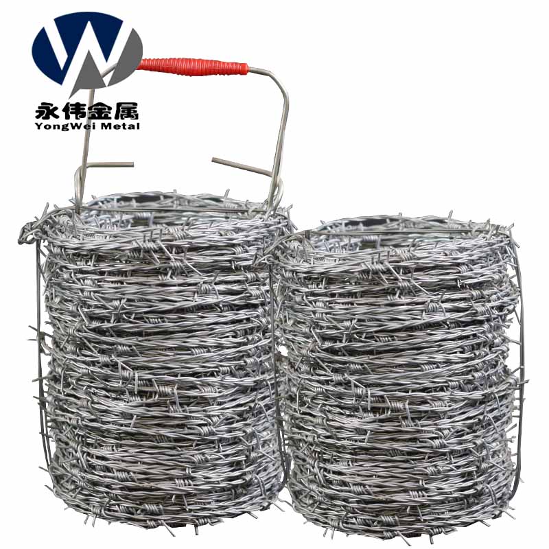 Galvanized barbed wire