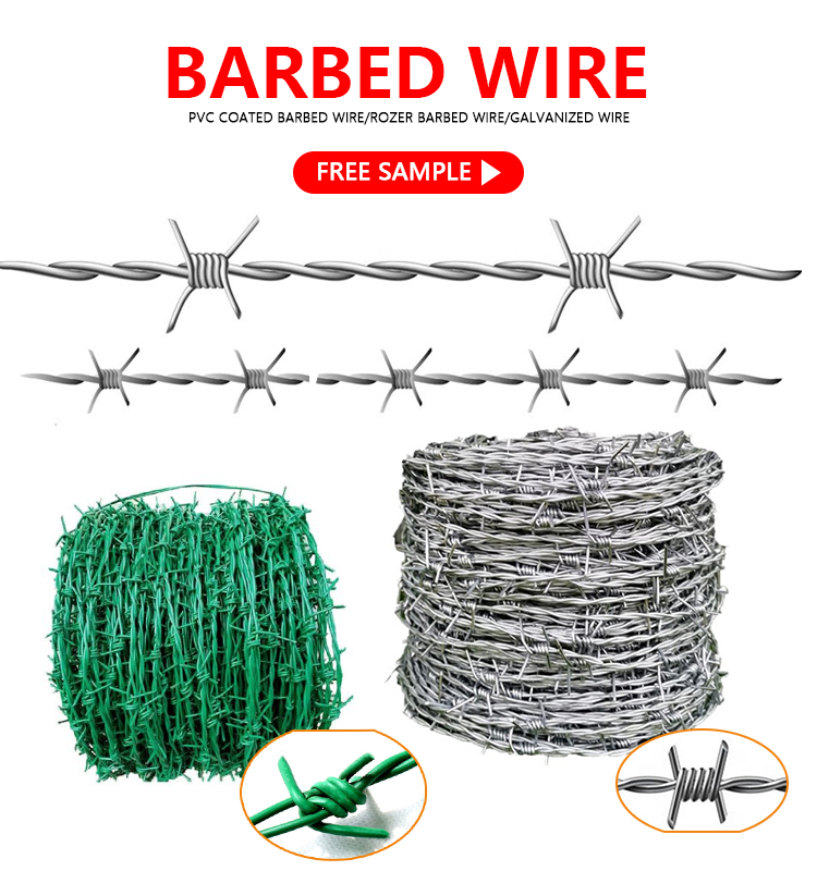 Galvanized barbed wire