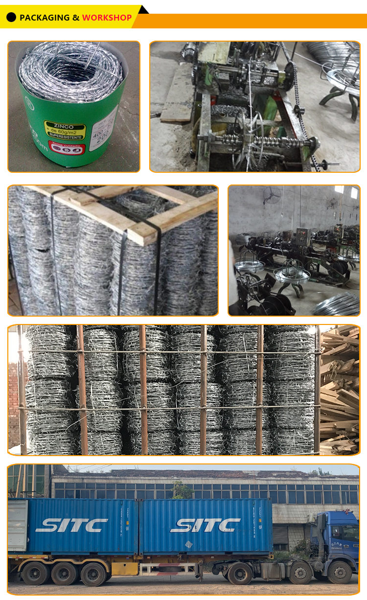Galvanized barbed wire