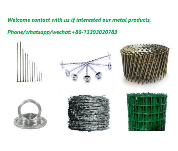Galvanized barbed wire