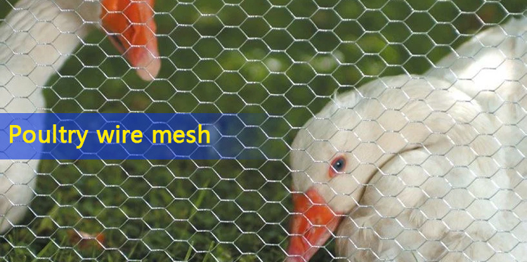 Chicken wire netting