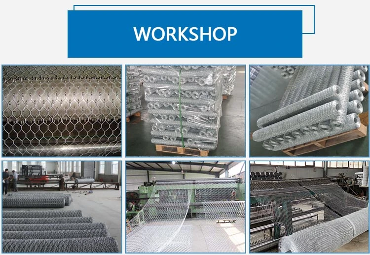 chicken wire netting from yongwei metal