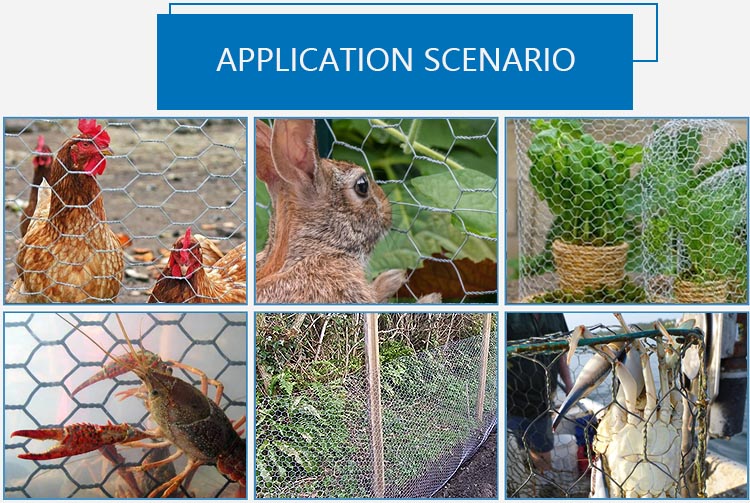 chicken mesh iron mesh fencing