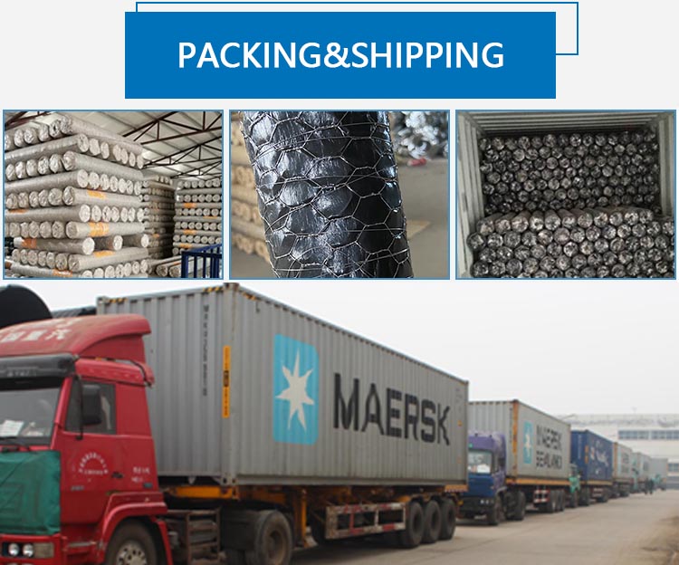 chicken mesh iron mesh fencing