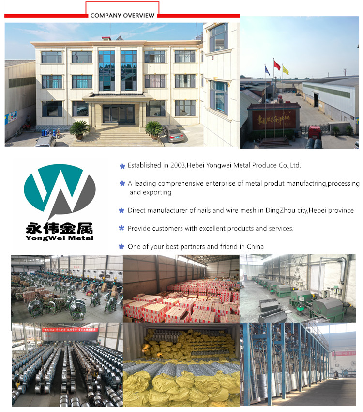gabion boxes mesh wire