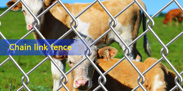 diamond mesh fencing