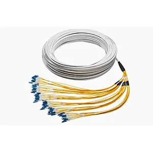 Trunk cables Patch cords