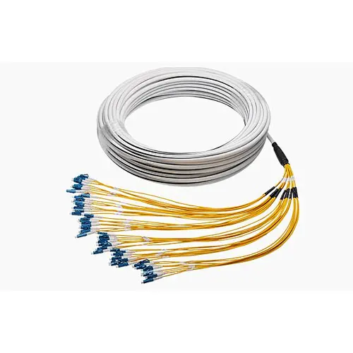 Trunk cables Patch cords