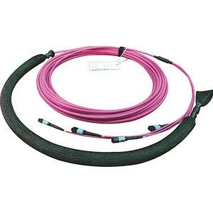 MPO/MTP Strand