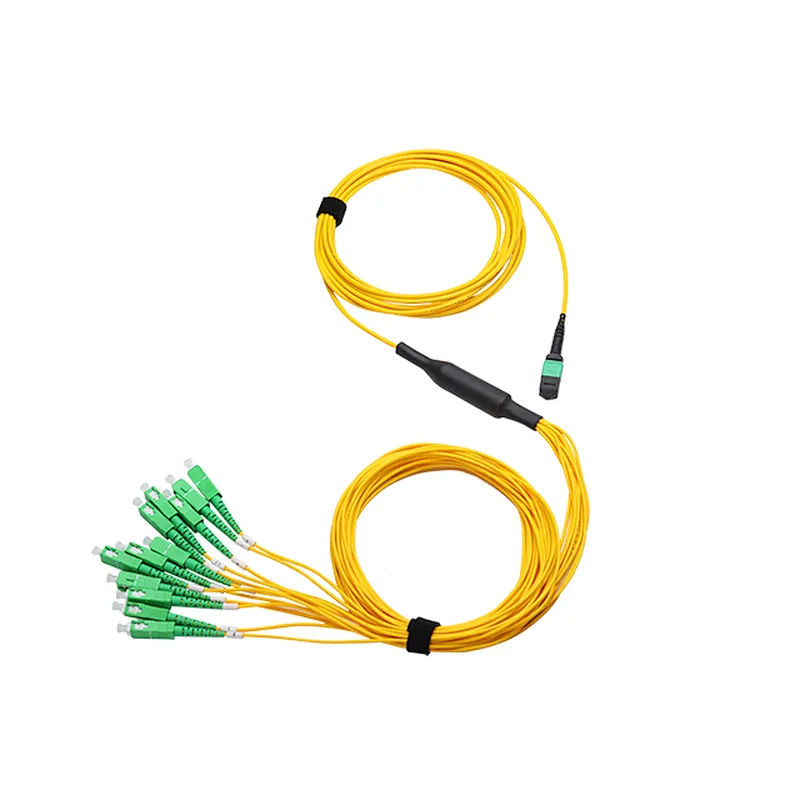 MPO-SC 12-F patch cords