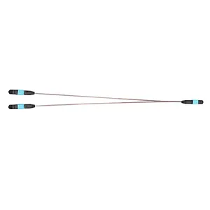 MPO 24-F Ribbon cable