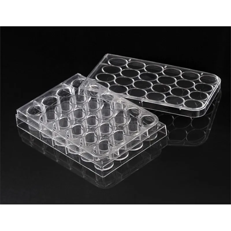 24-Well Culture Plate，Sterile