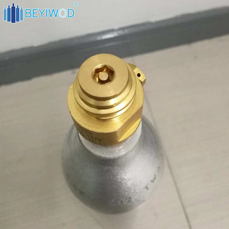 Wholesale 0.6L Food Grade Soda CO2 gas Cylinders use for Soda Maker Machine