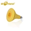 Spot Light Bulb