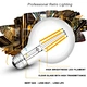 LED Globe Bulb